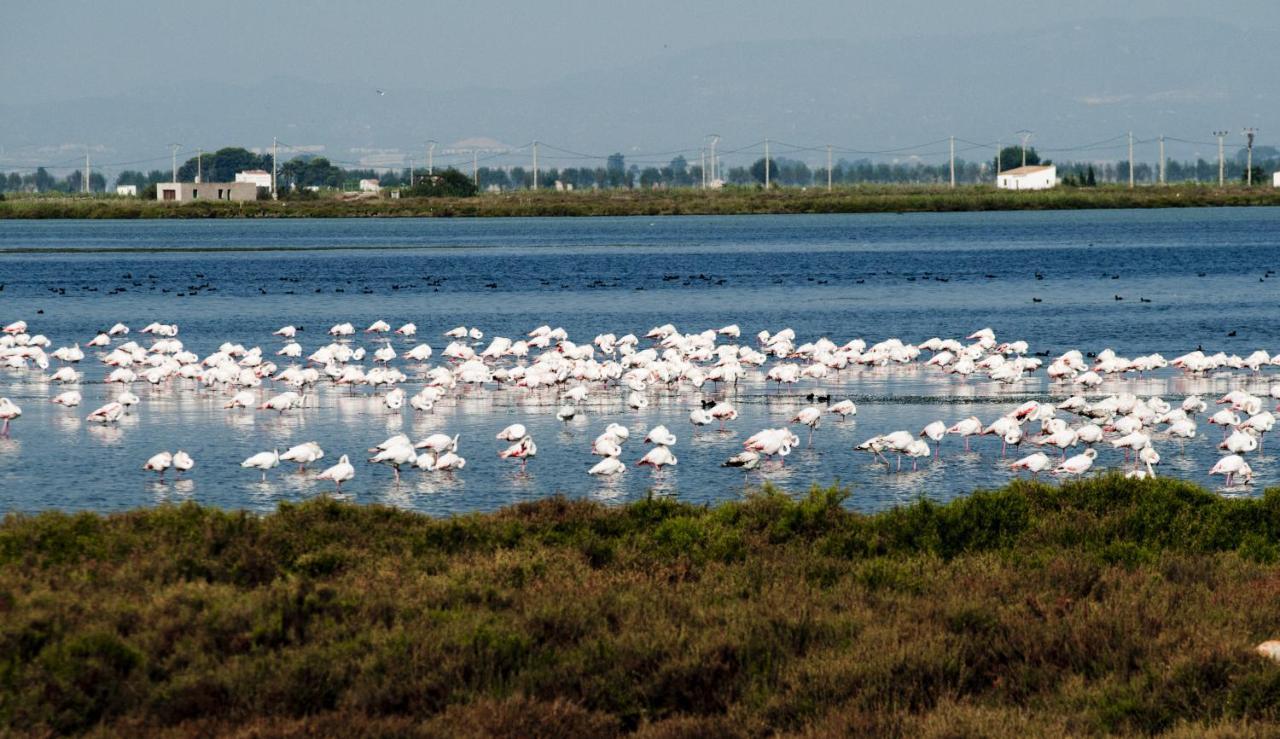 Los Pelicanos Miami Playa Zewnętrze zdjęcie